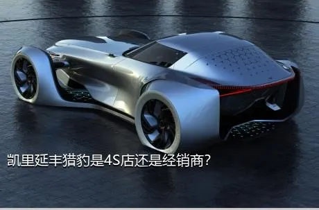 凯里延丰猎豹是4S店还是经销商？