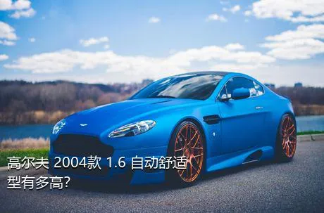 高尔夫 2004款 1.6 自动舒适型有多高？