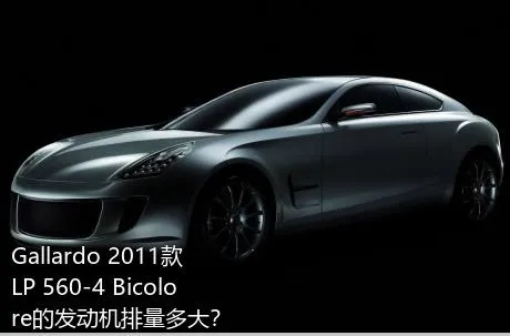 Gallardo 2011款 LP 560-4 Bicolore的发动机排量多大？
