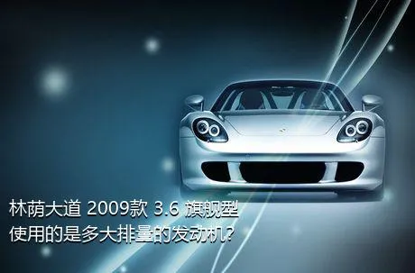 林荫大道 2009款 3.6 旗舰型使用的是多大排量的发动机？