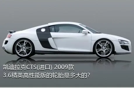 凯迪拉克CTS(进口) 2009款 3.6精英高性能版的轮胎是多大的？