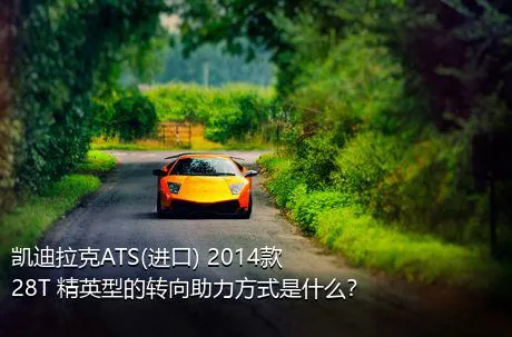 凯迪拉克ATS(进口) 2014款 28T 精英型的转向助力方式是什么？