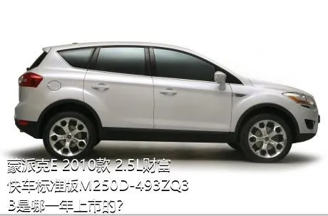 蒙派克E 2010款 2.5L财富快车标准版M250D-493ZQ3B是哪一年上市的？