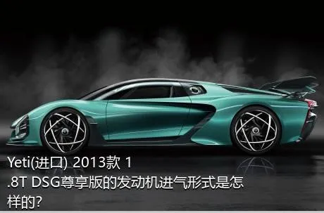 Yeti(进口) 2013款 1.8T DSG尊享版的发动机进气形式是怎样的？