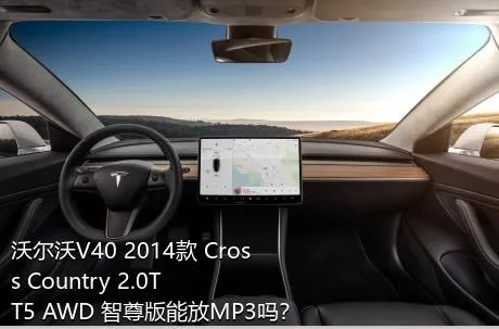 沃尔沃V40 2014款 Cross Country 2.0T T5 AWD 智尊版能放MP3吗？