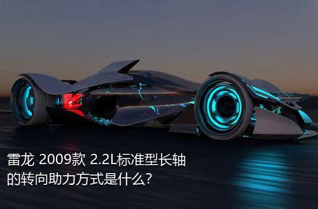 雷龙 2009款 2.2L标准型长轴的转向助力方式是什么？