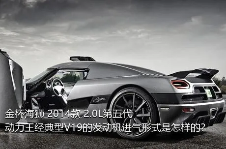金杯海狮 2014款 2.0L第五代动力王经典型V19的发动机进气形式是怎样的？