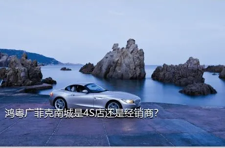 鸿粤广菲克南城是4S店还是经销商？