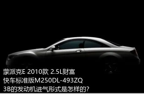 蒙派克E 2010款 2.5L财富快车标准版M250DL-493ZQ3B的发动机进气形式是怎样的？