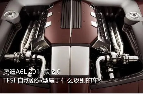 奥迪A6L 2011款 2.0 TFSI 自动舒适型属于什么级别的车？