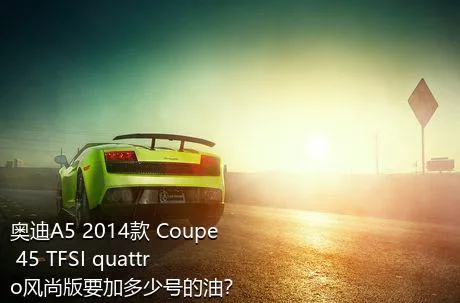 奥迪A5 2014款 Coupe 45 TFSI quattro风尚版要加多少号的油？