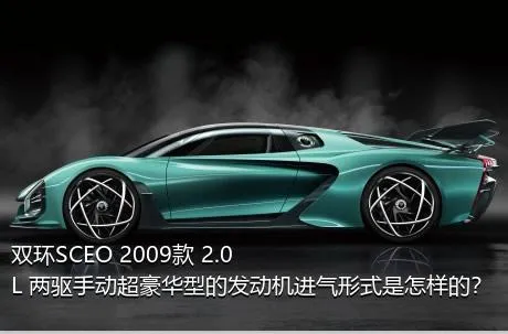 双环SCEO 2009款 2.0L 两驱手动超豪华型的发动机进气形式是怎样的？