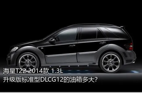 海星T22 2014款 1.3L升级版标准型DLCG12的油箱多大？