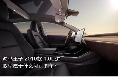 海马王子 2010款 1.0L 进取型属于什么级别的车？