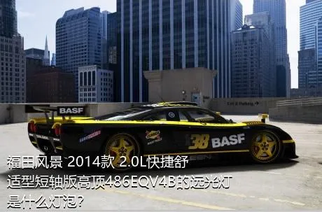福田风景 2014款 2.0L快捷舒适型短轴版高顶486EQV4B的远光灯是什么灯泡？