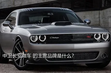 中卫长安微车 的主营品牌是什么？