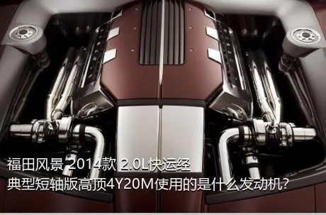 福田风景 2014款 2.0L快运经典型短轴版高顶4Y20M使用的是什么发动机？