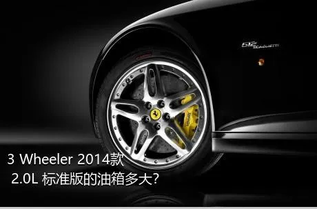 3 Wheeler 2014款 2.0L 标准版的油箱多大？