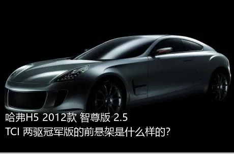 哈弗H5 2012款 智尊版 2.5TCI 两驱冠军版的前悬架是什么样的？