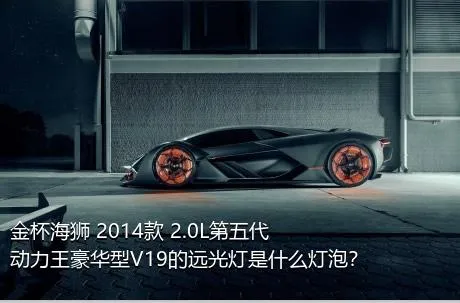 金杯海狮 2014款 2.0L第五代动力王豪华型V19的远光灯是什么灯泡？