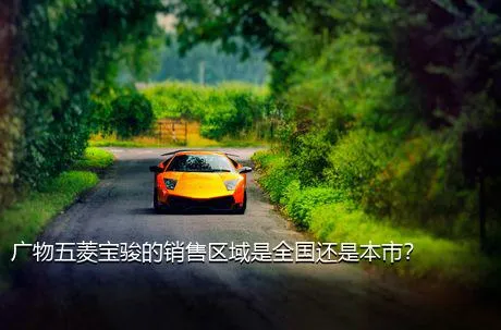广物五菱宝骏的销售区域是全国还是本市？