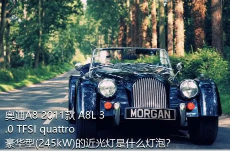奥迪A8 2011款 A8L 3.0 TFSI quattro豪华型(245kW)的近光灯是什么灯泡？