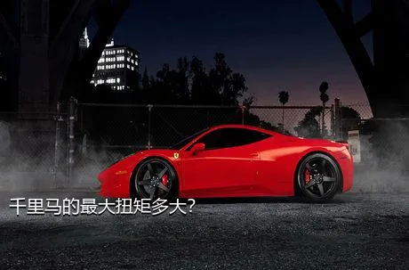 千里马的最大扭矩多大？