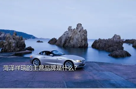菏泽祥瑞的主营品牌是什么？