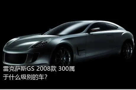 雷克萨斯GS 2008款 300属于什么级别的车？