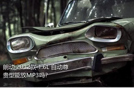 朗动 2012款 1.6L 自动尊贵型能放MP3吗？