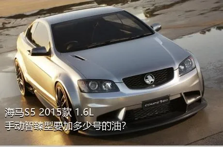 海马S5 2015款 1.6L 手动智臻型要加多少号的油？