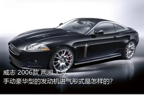 威志 2006款 两厢 1.3L 手动豪华型的发动机进气形式是怎样的？