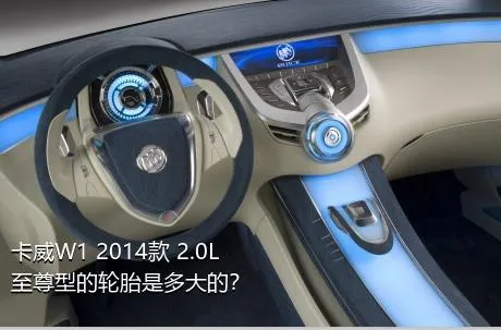 卡威W1 2014款 2.0L 至尊型的轮胎是多大的？