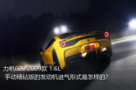 力帆620 2009款 1.6L 手动精钻版的发动机进气形式是怎样的？