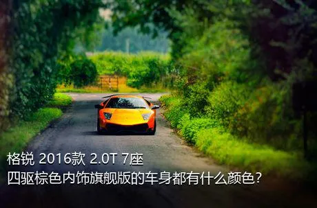 格锐 2016款 2.0T 7座四驱棕色内饰旗舰版的车身都有什么颜色？