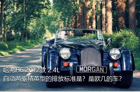 哈弗H6 2012款 2.4L 自动两驱精英型的排放标准是？是欧几的车？