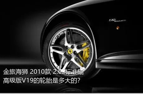 金旅海狮 2010款 2.0L标准轴高级版V19的轮胎是多大的？