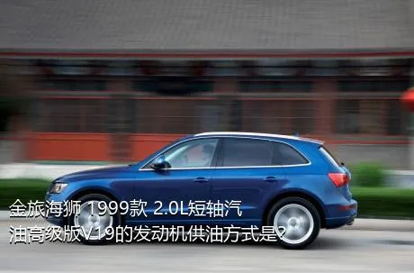 金旅海狮 1999款 2.0L短轴汽油高级版V19的发动机供油方式是？