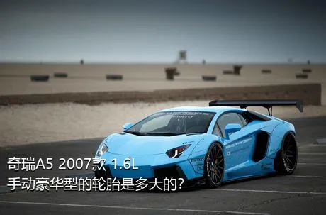 奇瑞A5 2007款 1.6L 手动豪华型的轮胎是多大的？