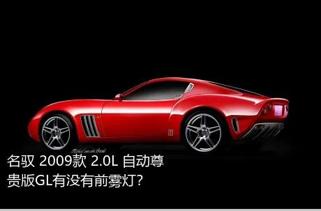 名驭 2009款 2.0L 自动尊贵版GL有没有前雾灯？