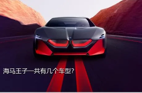 海马王子一共有几个车型？