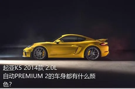 起亚K5 2014款 2.0L 自动PREMIUM 2的车身都有什么颜色？