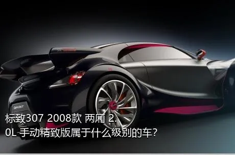 标致307 2008款 两厢 2.0L 手动精致版属于什么级别的车？