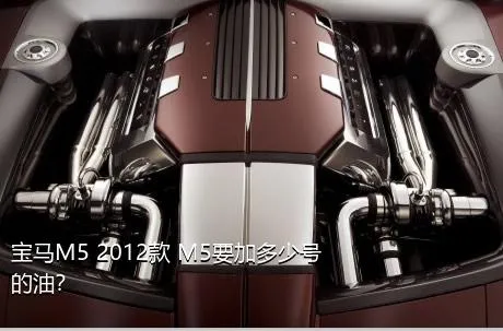 宝马M5 2012款 M5要加多少号的油？