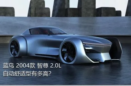 蓝鸟 2004款 智尊 2.0L 自动舒适型有多高？