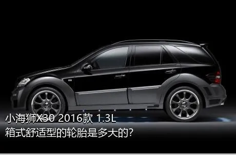 小海狮X30 2016款 1.3L箱式舒适型的轮胎是多大的？