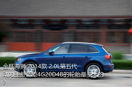 金杯海狮 2014款 2.0L第五代动力王舒适型4G20D4B的轮胎是多大的？