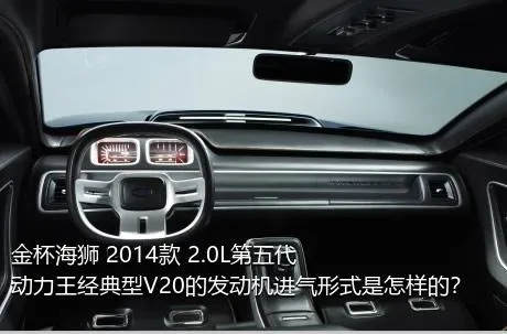 金杯海狮 2014款 2.0L第五代动力王经典型V20的发动机进气形式是怎样的？