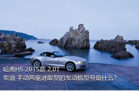 哈弗H5 2015款 2.0T 柴油 手动两驱进取型的发动机型号是什么？