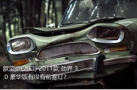 欧蓝德(进口) 2011款 劲界 3.0 豪华版有没有前雾灯？